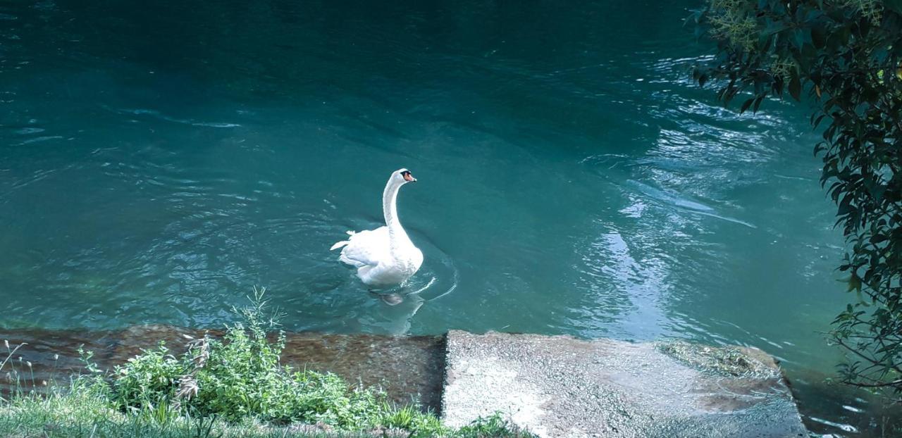 Ampio Appartamento Vicino Al Centro Di Treviso, Parcheggio Gratuito Екстер'єр фото
