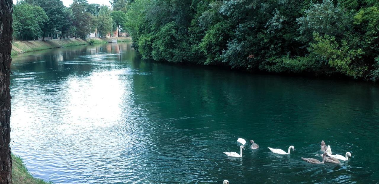 Ampio Appartamento Vicino Al Centro Di Treviso, Parcheggio Gratuito Екстер'єр фото